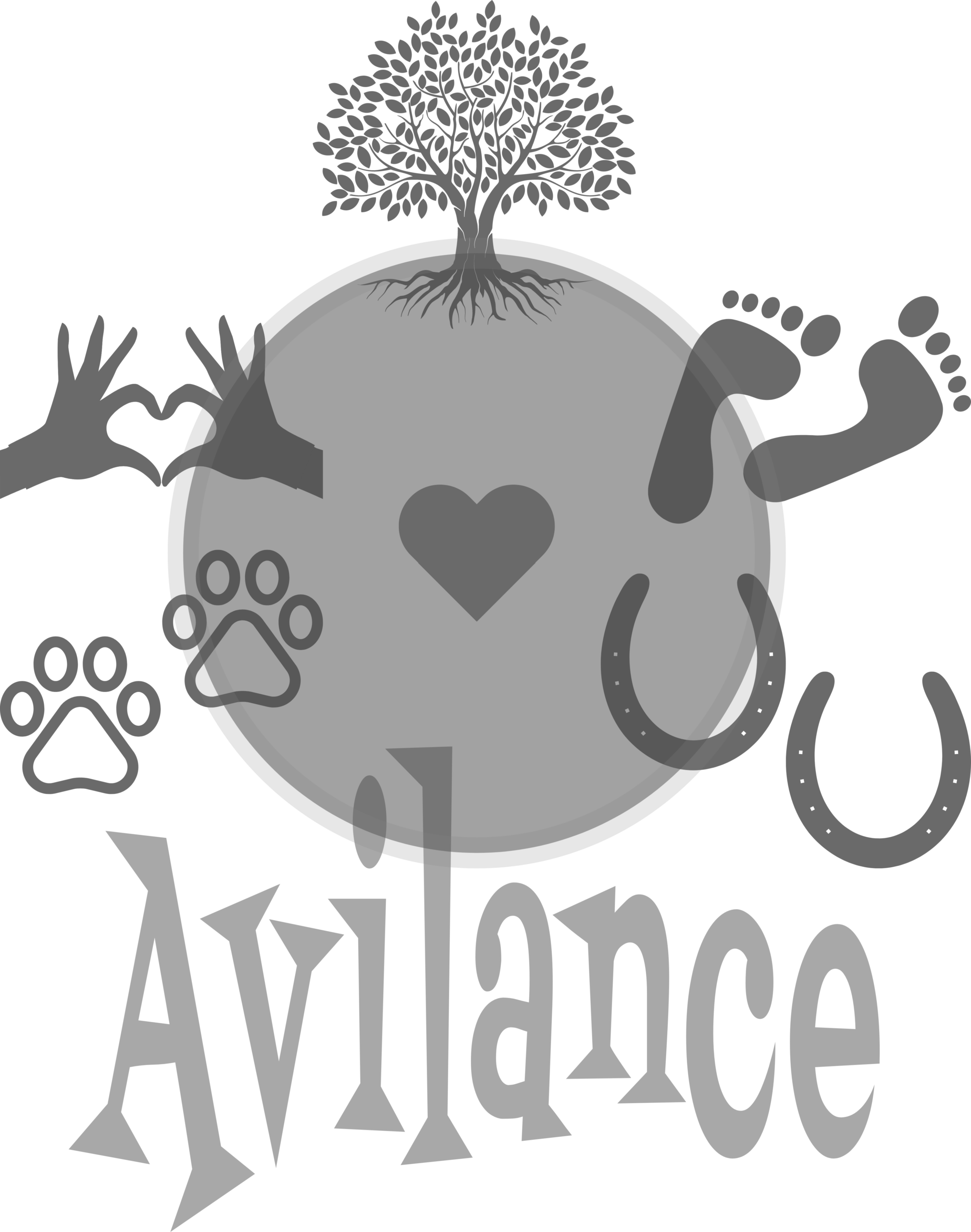 Avilance GmbH & Co. KG